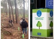 Freguesia de Santo António lança nova edição da Campanha “Plantar uma Árvore”