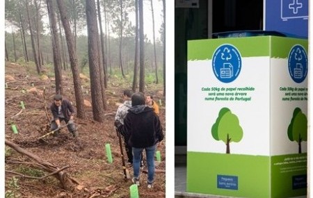 Freguesia de Santo António lança nova edição da Campanha “Plantar uma Árvore”