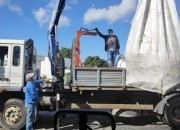 Junta de Freguesia de Santo André e APA doam 5,6 toneladas ao Banco Alimentar